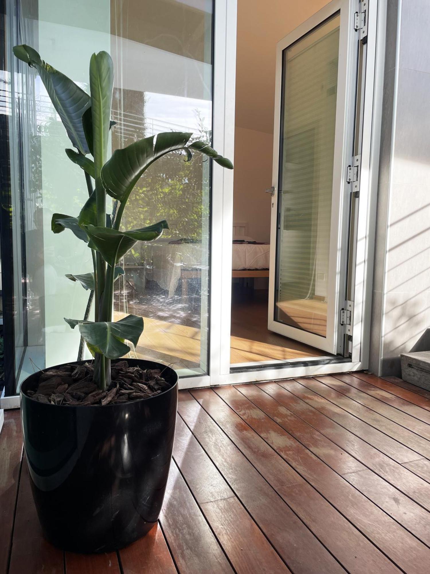 Belvedere House Apartment Rom